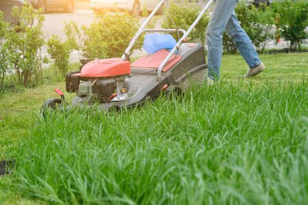 lawn mowing